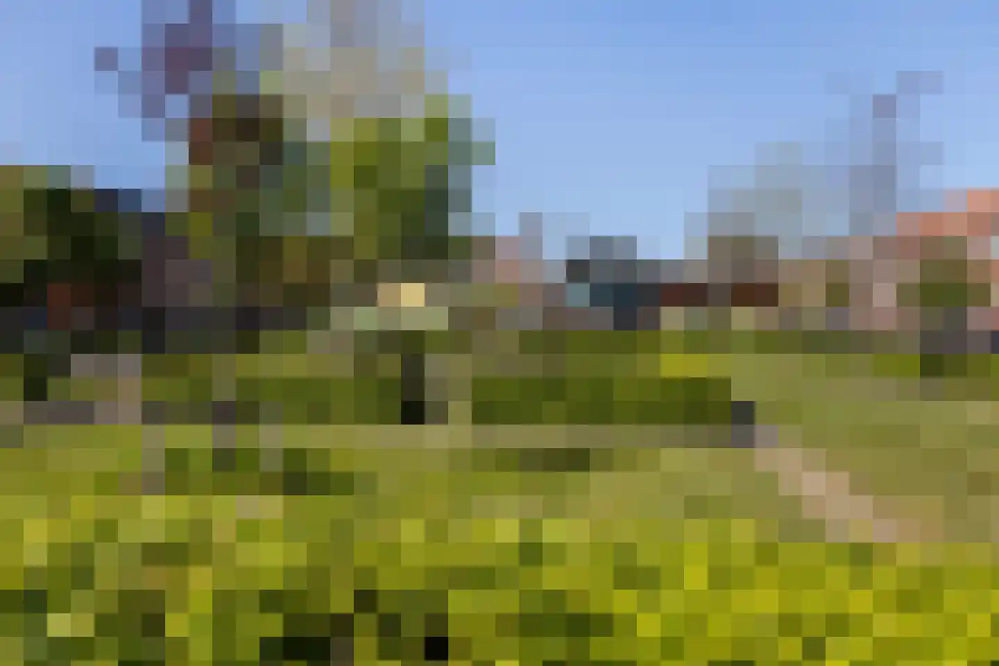 Dordtselaan 187 A 02 Rotterdam thumbnail 41