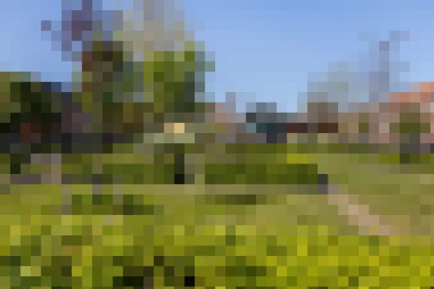 Dordtselaan 187 B Rotterdam thumbnail 41