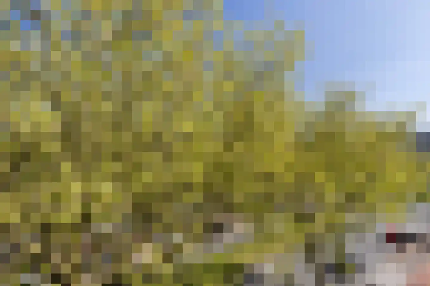 Dordtselaan 189 A Rotterdam thumbnail 30