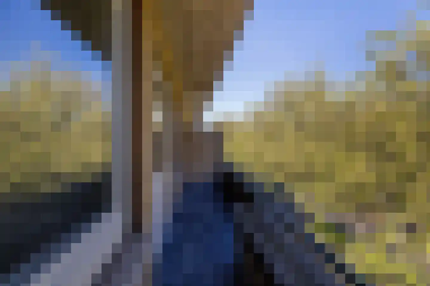 Dordtselaan 189 B Rotterdam thumbnail 28