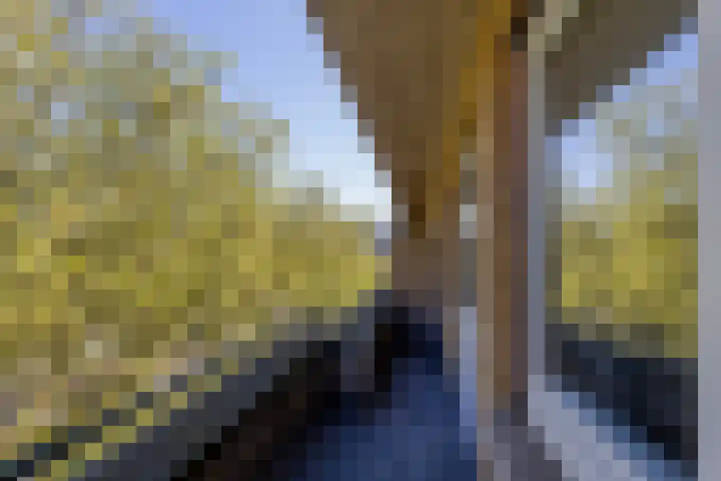 Dordtselaan 189 B Rotterdam thumbnail 29