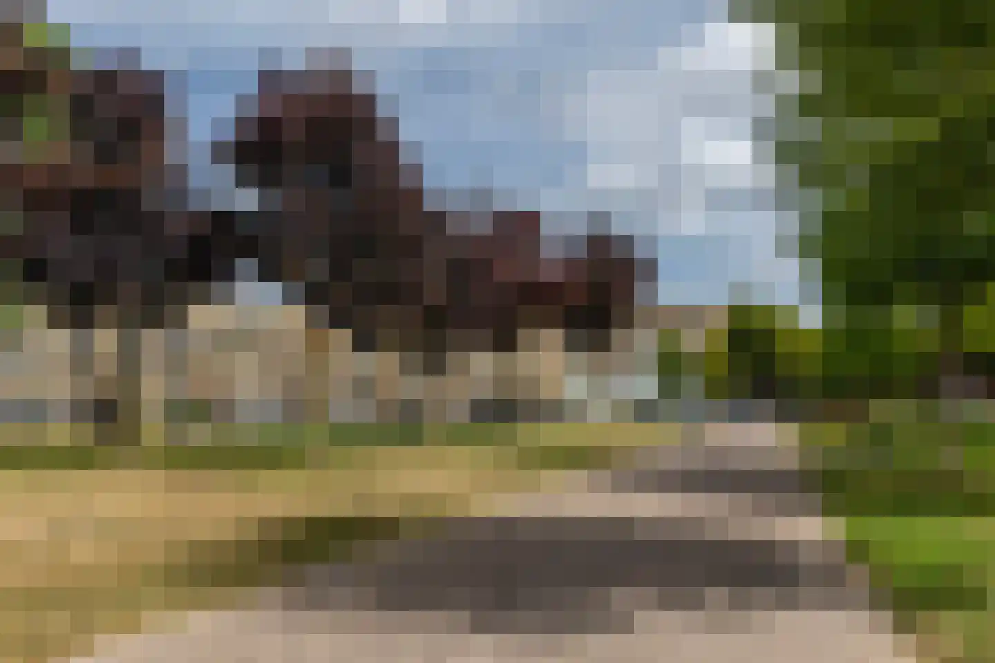 Dordtselaan 189 B Rotterdam thumbnail 37
