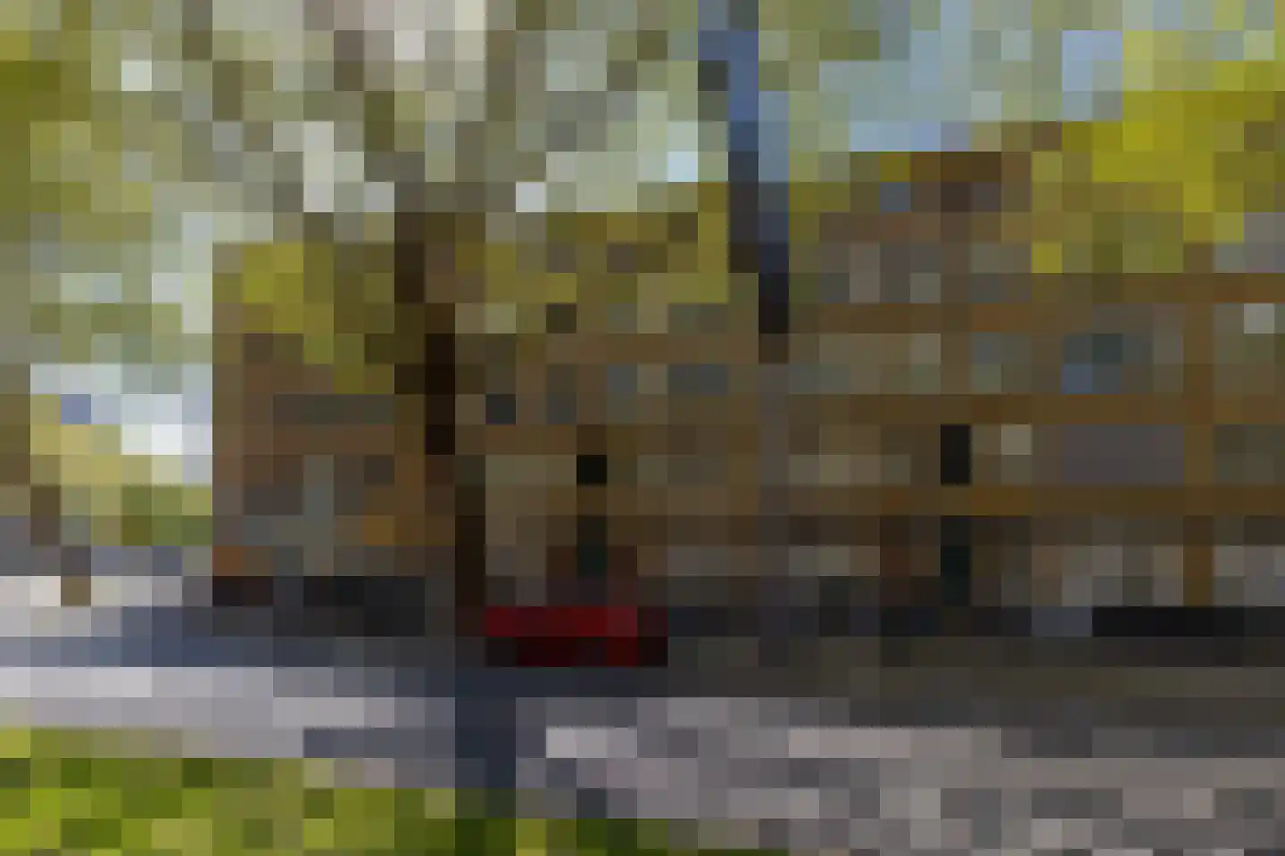 Dordtselaan 189 B Rotterdam thumbnail 5