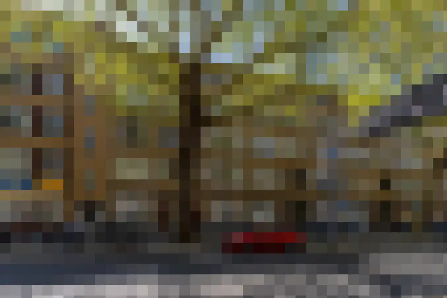 Dordtselaan 189 B Rotterdam thumbnail 6
