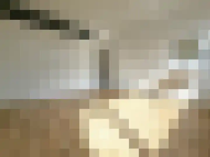 Dordtselaan 204 B Rotterdam thumbnail 12