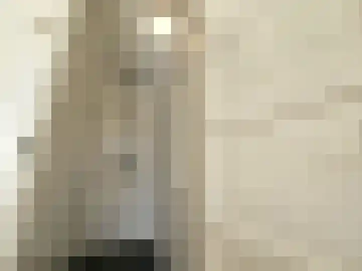 Dordtselaan 204 B Rotterdam thumbnail 13