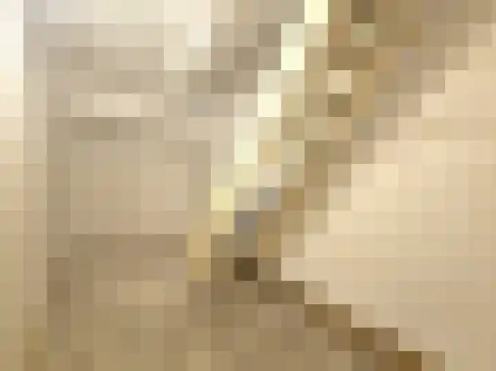 Dordtselaan 204 B Rotterdam thumbnail 16