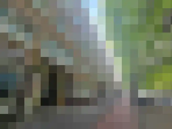 Dordtselaan 204 B Rotterdam thumbnail 17