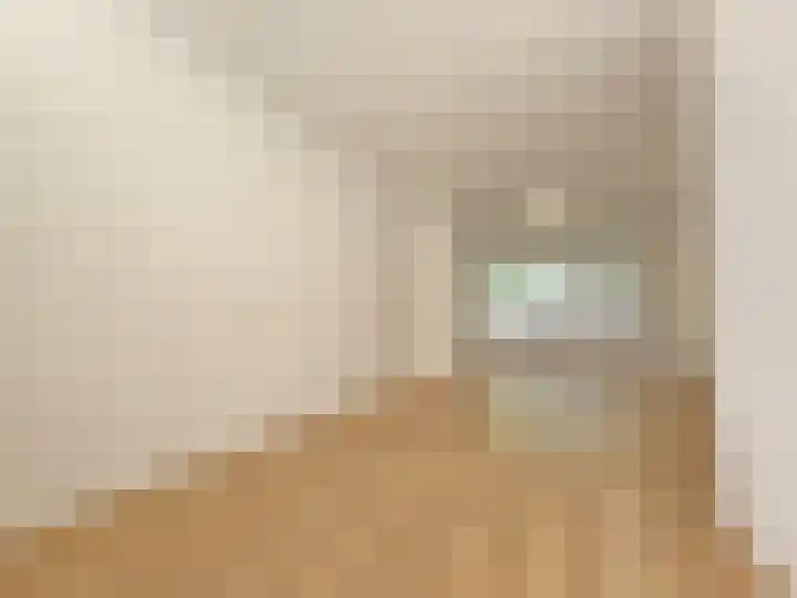 Dordtselaan 204 B Rotterdam thumbnail 5