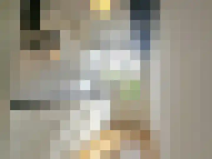 Dordtselaan 204 B Rotterdam thumbnail 6
