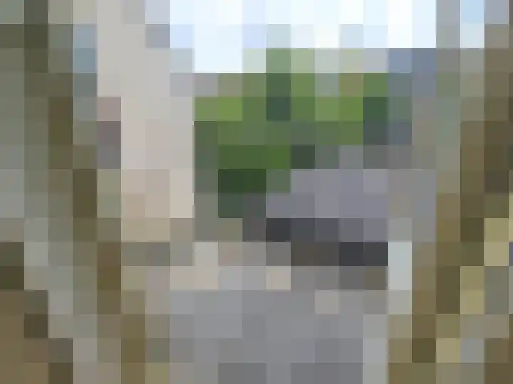 Dordtselaan 204 B Rotterdam thumbnail 8