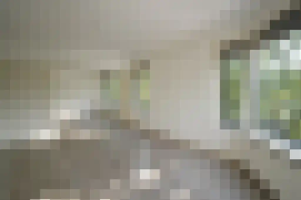 Dordtselaan 205 Rotterdam thumbnail 4