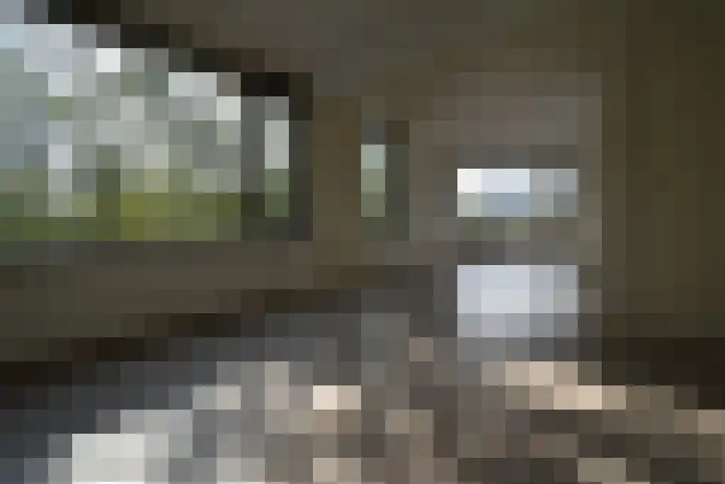 Dordtselaan 205 Rotterdam thumbnail 5