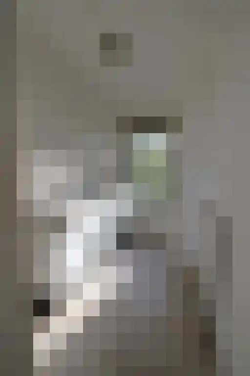 Dordtselaan 205 Rotterdam thumbnail 6