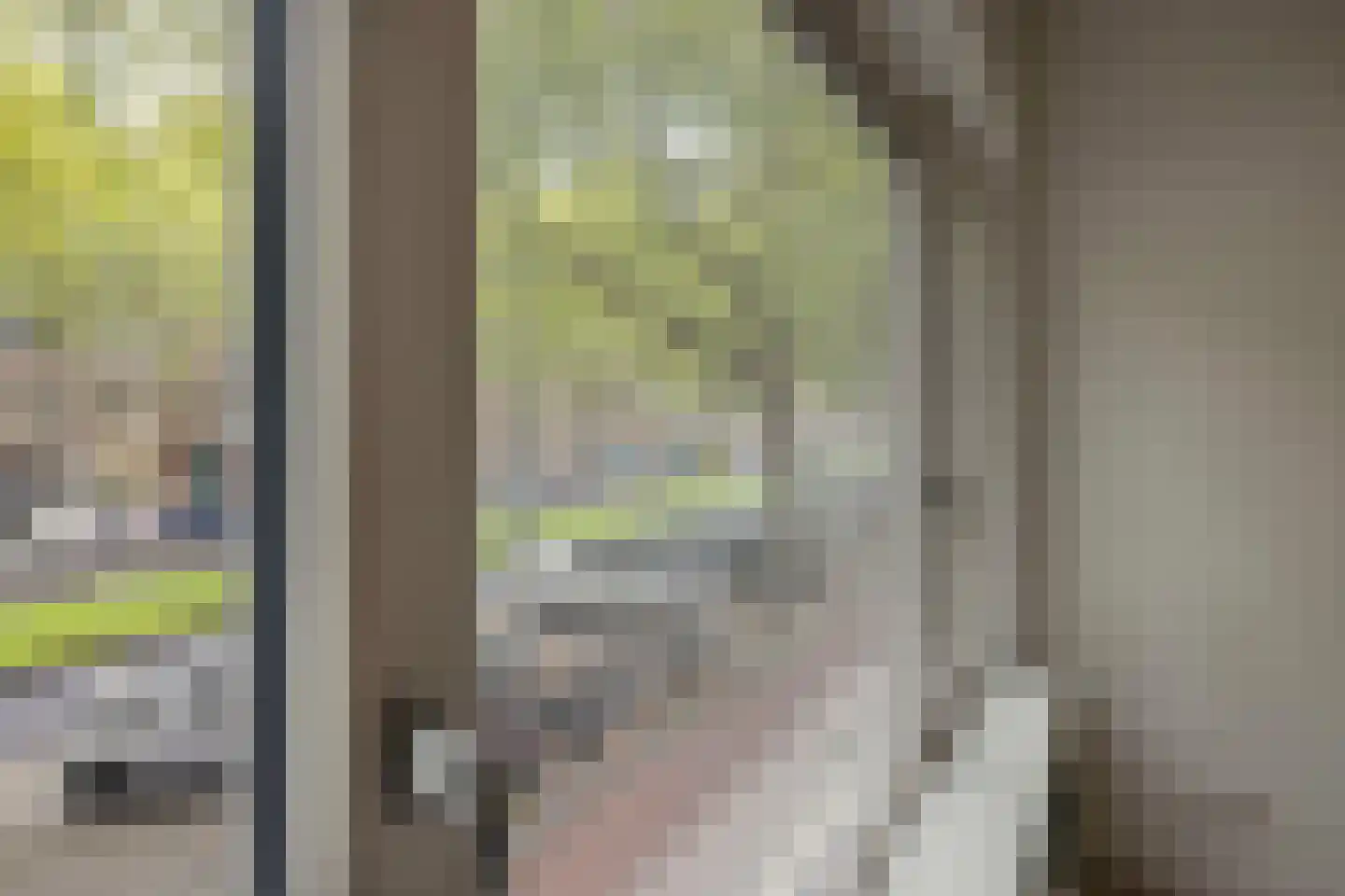 Dordtselaan 210 B Rotterdam thumbnail 17
