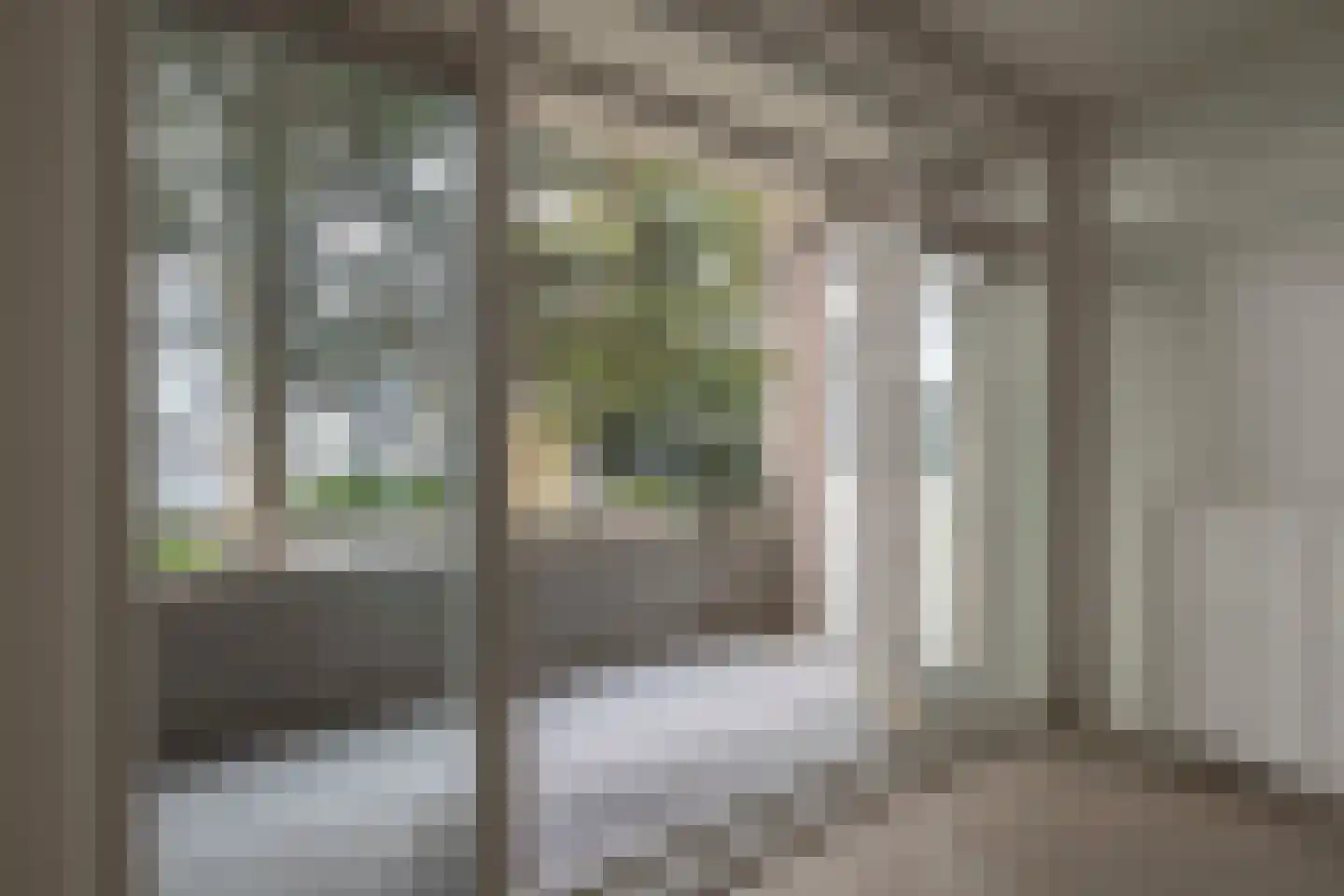 Dordtselaan 210 B Rotterdam thumbnail 24