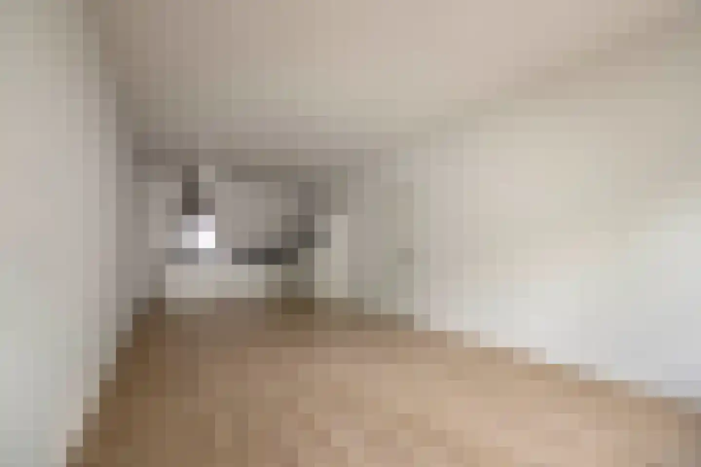 Dordtselaan 210 B Rotterdam thumbnail 9