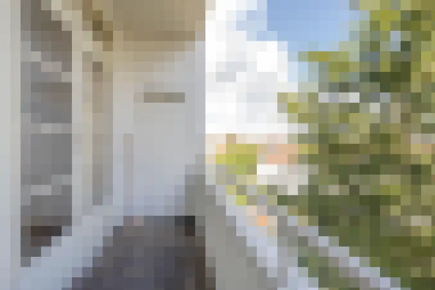 Dordtselaan 210 C 02 Rotterdam thumbnail 11