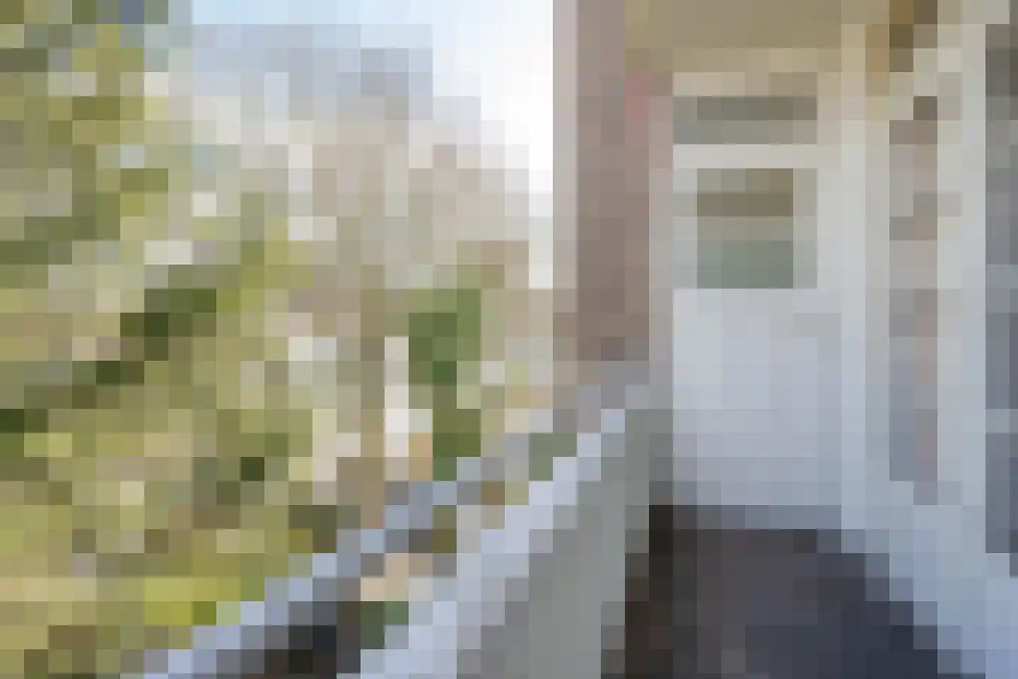 Dordtselaan 210 C 02 Rotterdam thumbnail 12