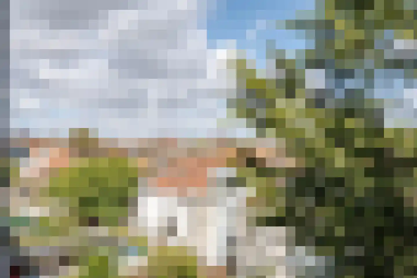 Dordtselaan 210 C 02 Rotterdam thumbnail 13