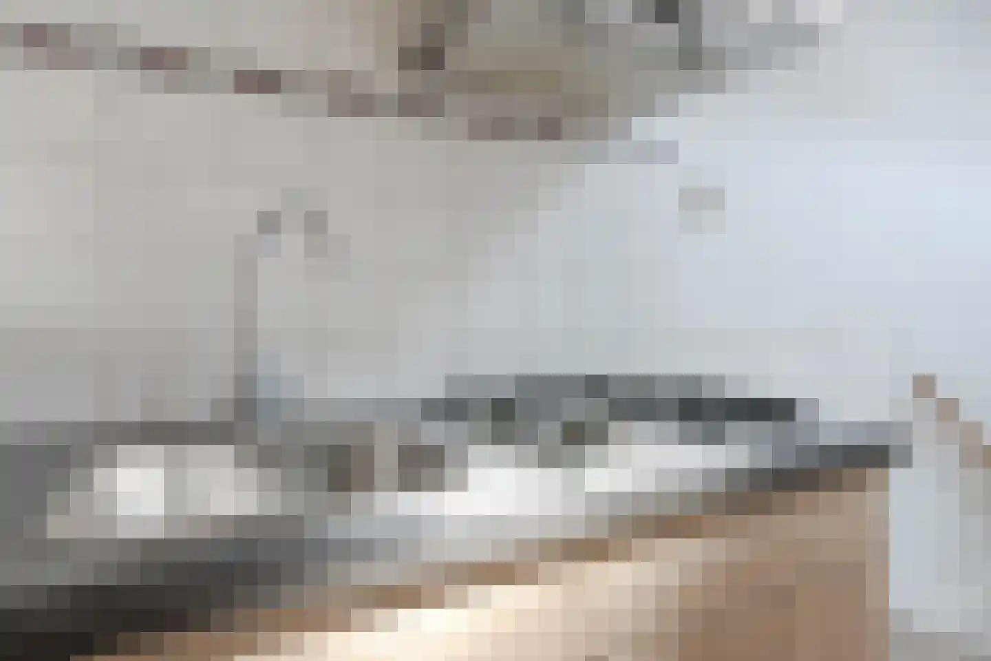 Dordtselaan 210 C 02 Rotterdam thumbnail 26