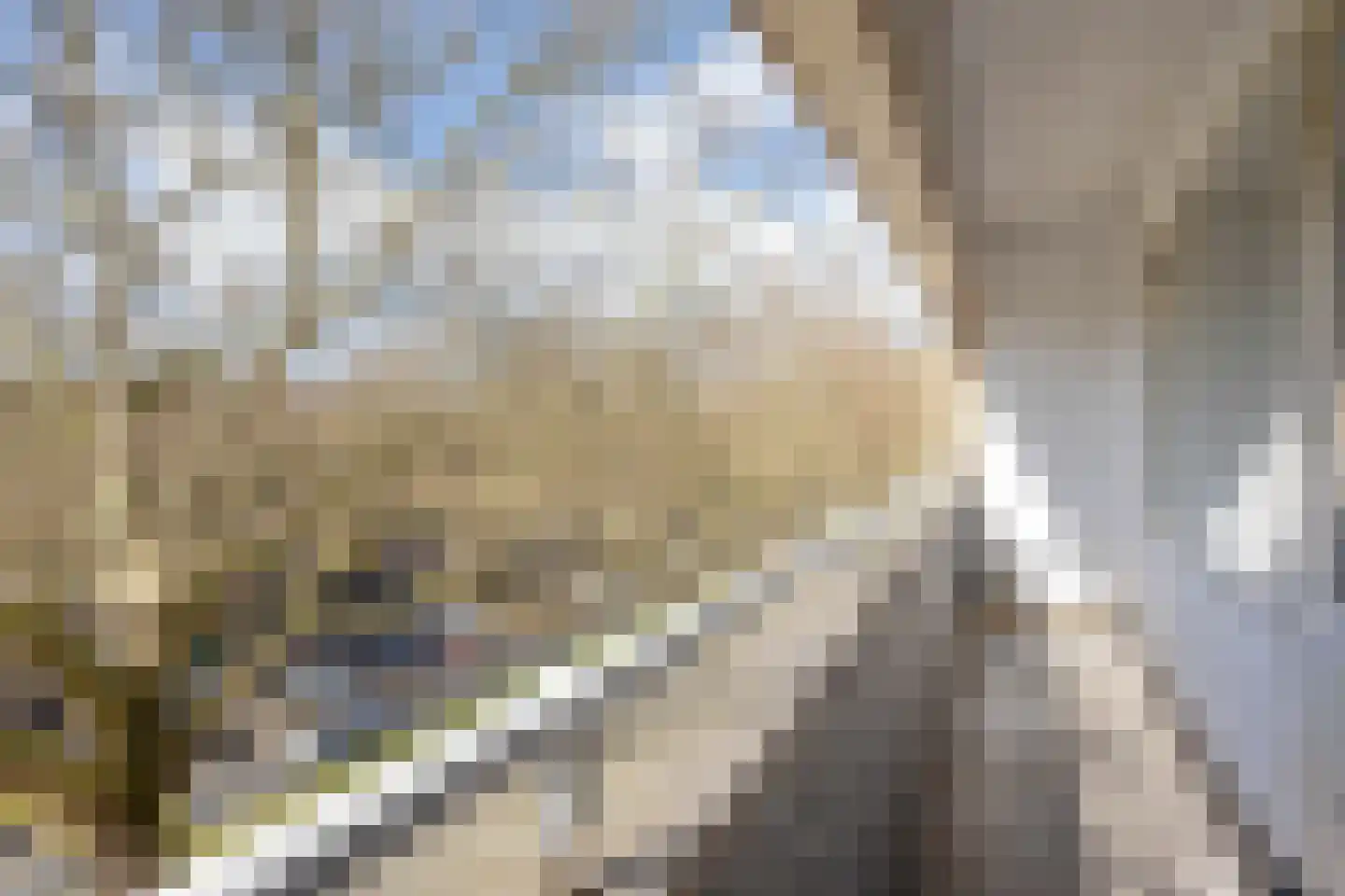 Dordtselaan 210 C 02 Rotterdam thumbnail 28