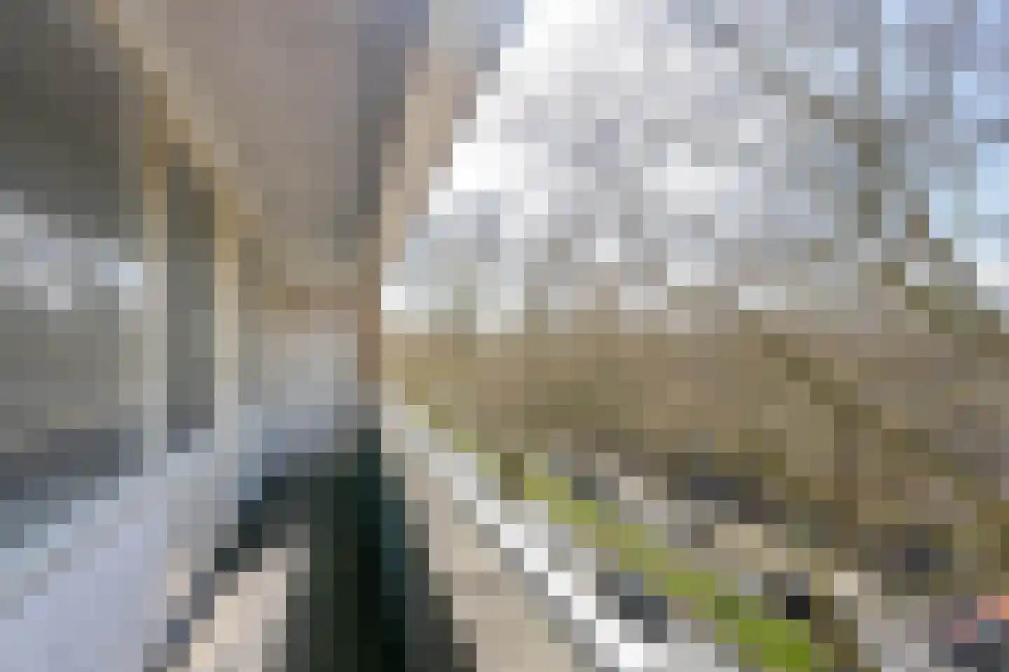 Dordtselaan 210 C 02 Rotterdam thumbnail 29