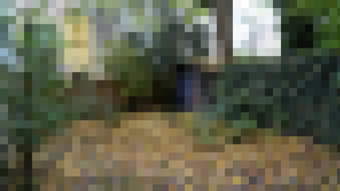 Dordtselaan 212 A 02 Rotterdam thumbnail 16