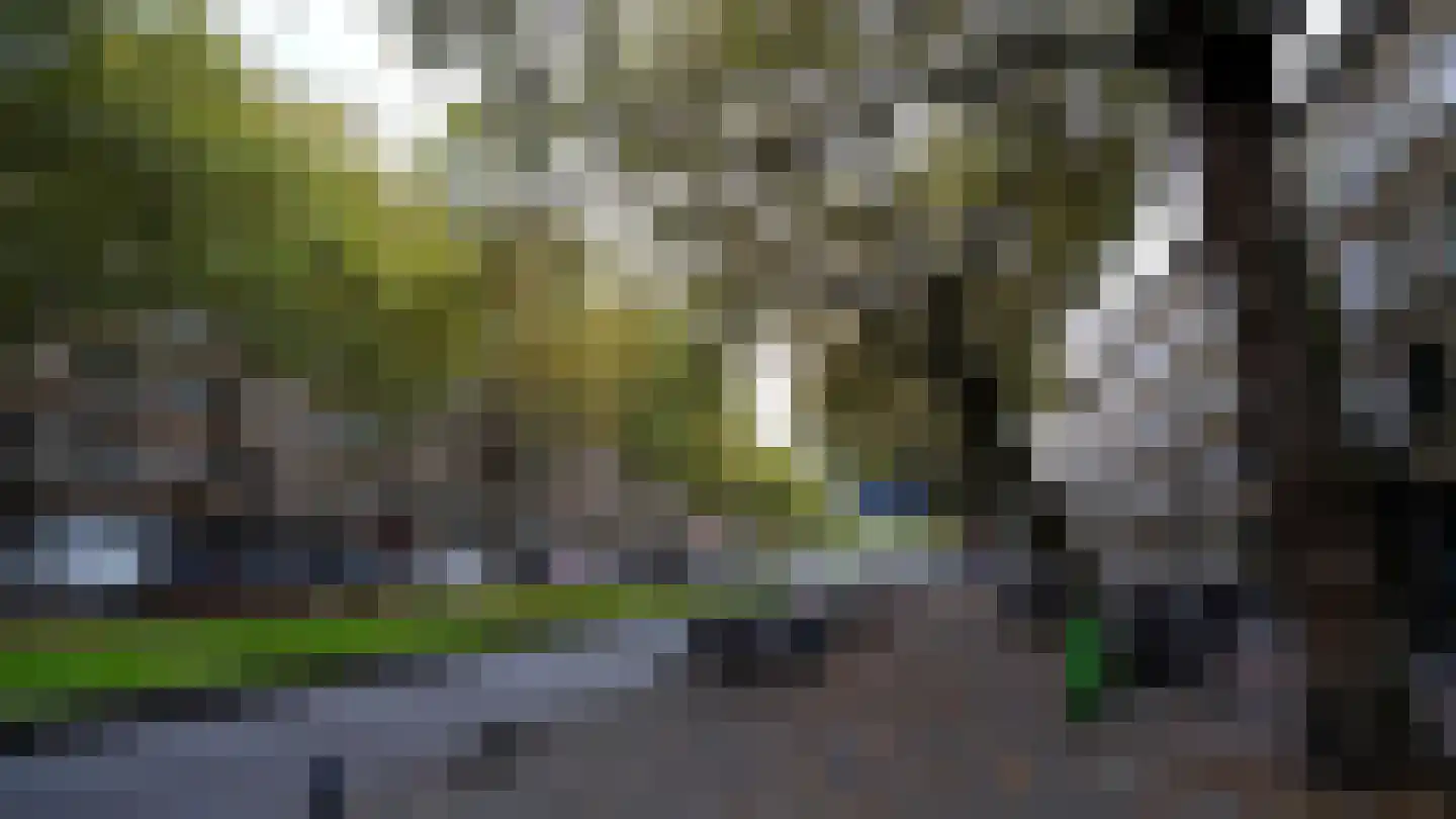 Dordtselaan 212 A 02 Rotterdam thumbnail 19