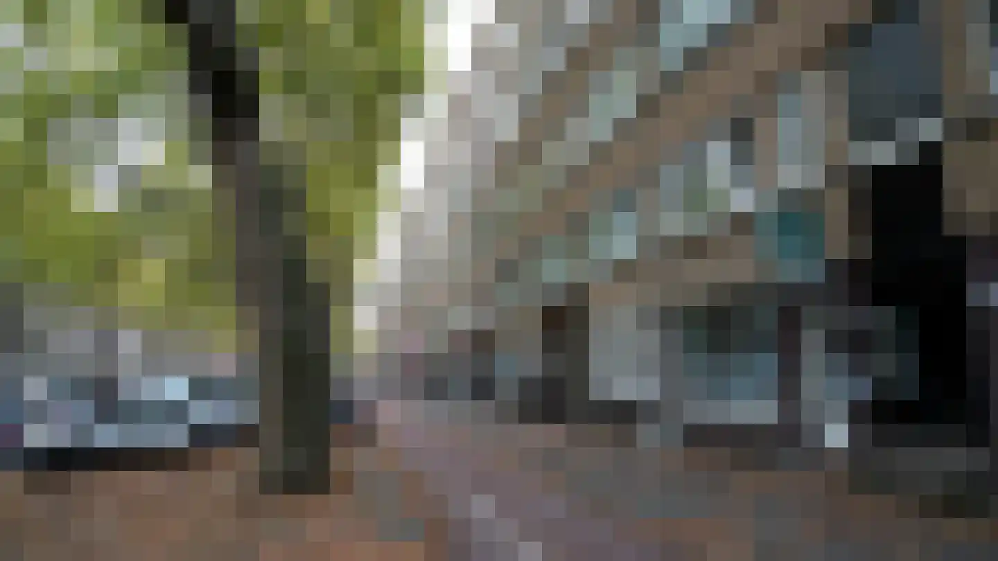 Dordtselaan 212 A 02 Rotterdam thumbnail 20