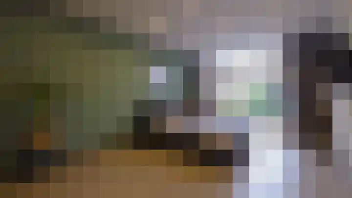 Dordtselaan 230 A Rotterdam thumbnail 11