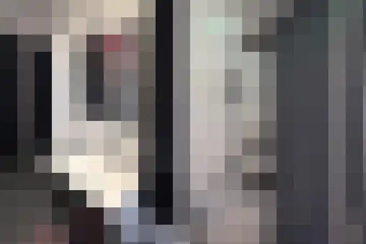 Dordtselaan 230 A Rotterdam thumbnail 14
