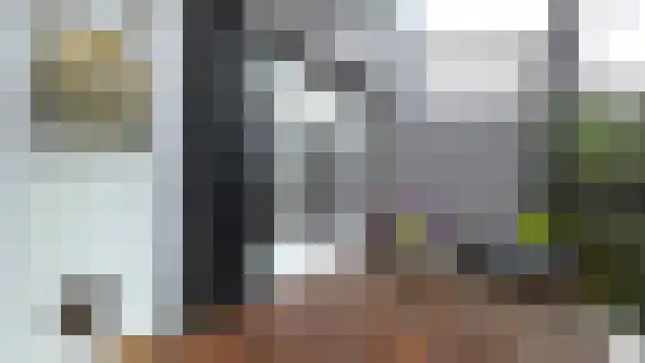 Dordtselaan 230 A Rotterdam thumbnail 16