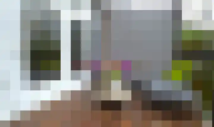 Dordtselaan 230 A Rotterdam thumbnail 17