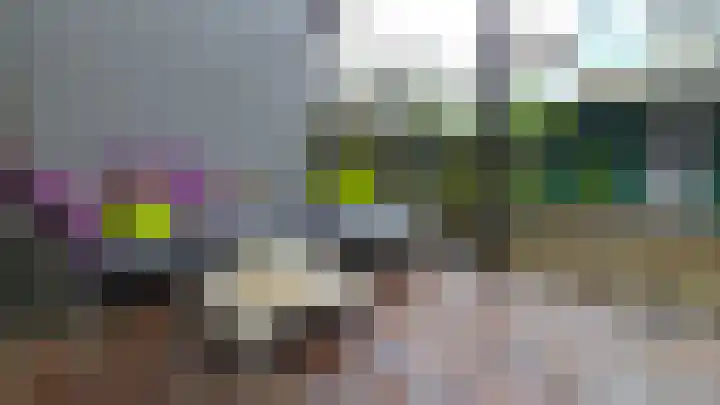 Dordtselaan 230 A Rotterdam thumbnail 18