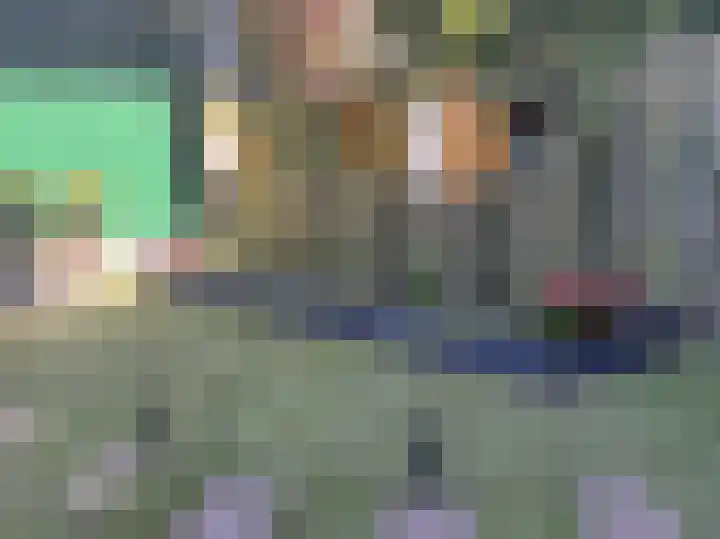 Dordtselaan 230 A Rotterdam thumbnail 20