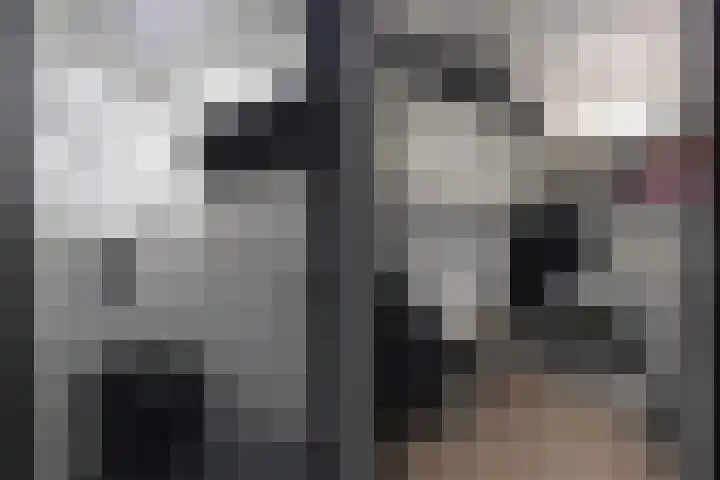Dordtselaan 230 A Rotterdam thumbnail 9