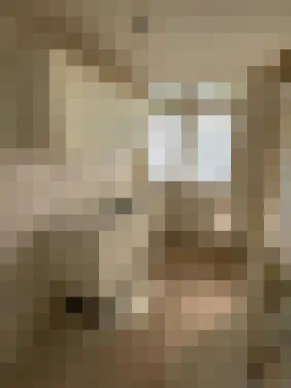 Dordtselaan 232 B Rotterdam thumbnail 11