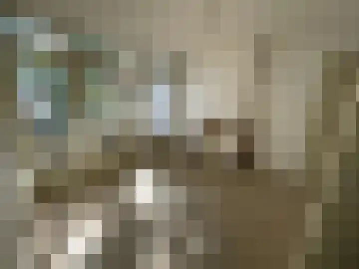 Dordtselaan 232 B Rotterdam thumbnail 12