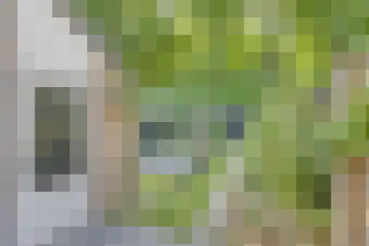 Dordtselaan 232 B Rotterdam thumbnail 16