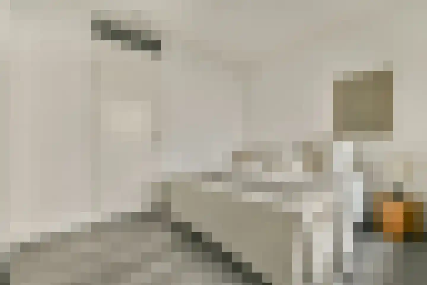 Dordtselaan 232 B Rotterdam thumbnail 5