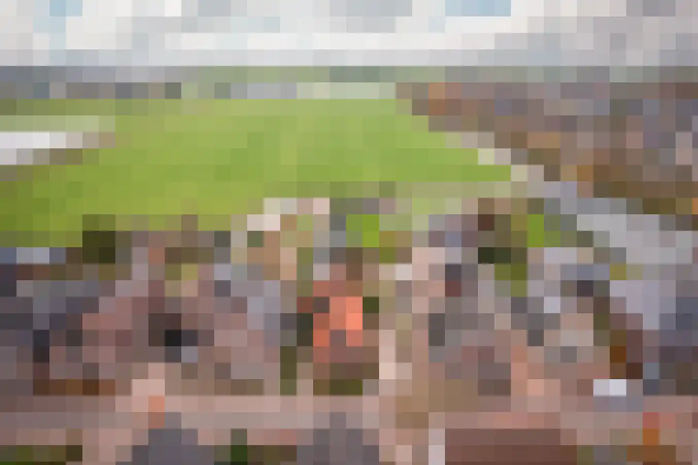 Dordtselaan 232 B Rotterdam thumbnail 6