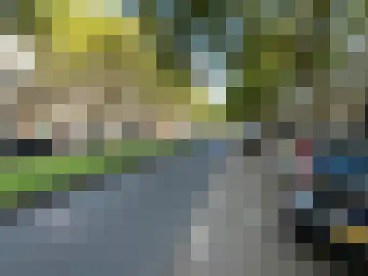Dordtselaan 232 B Rotterdam thumbnail 6