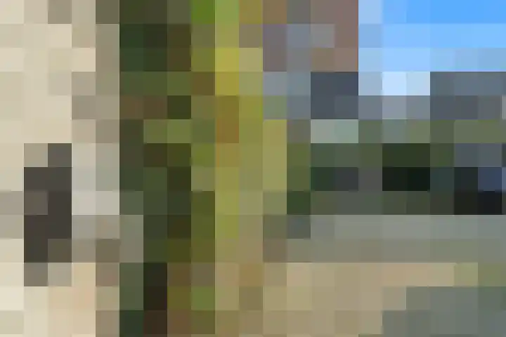 Dordtselaan 232 B Rotterdam thumbnail 7