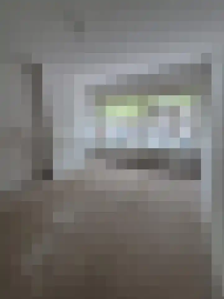Dordtselaan 232 B Rotterdam thumbnail 7