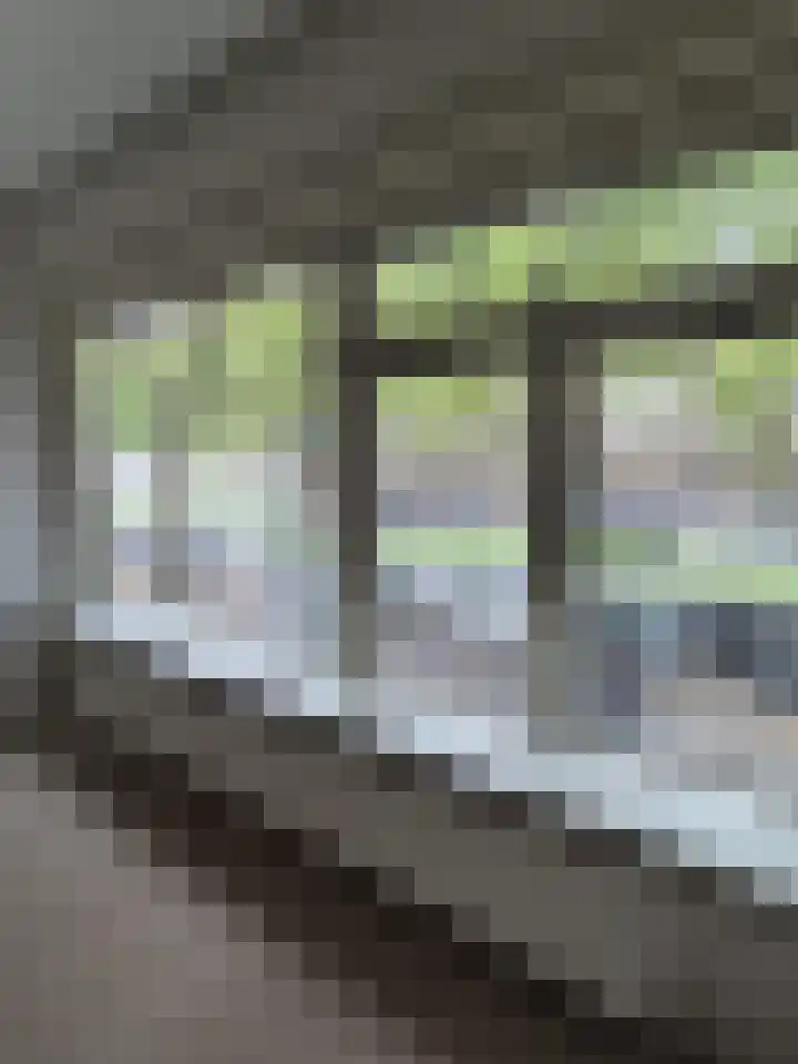 Dordtselaan 232 B Rotterdam thumbnail 8