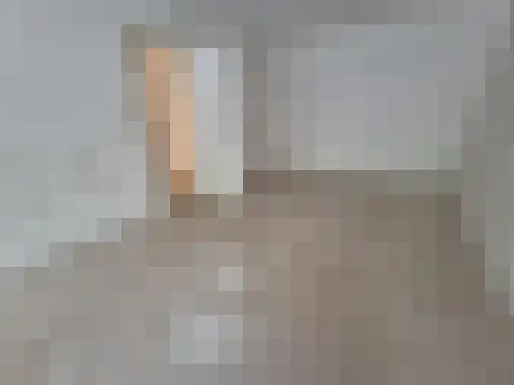Dordtselaan 232 B Rotterdam thumbnail 9