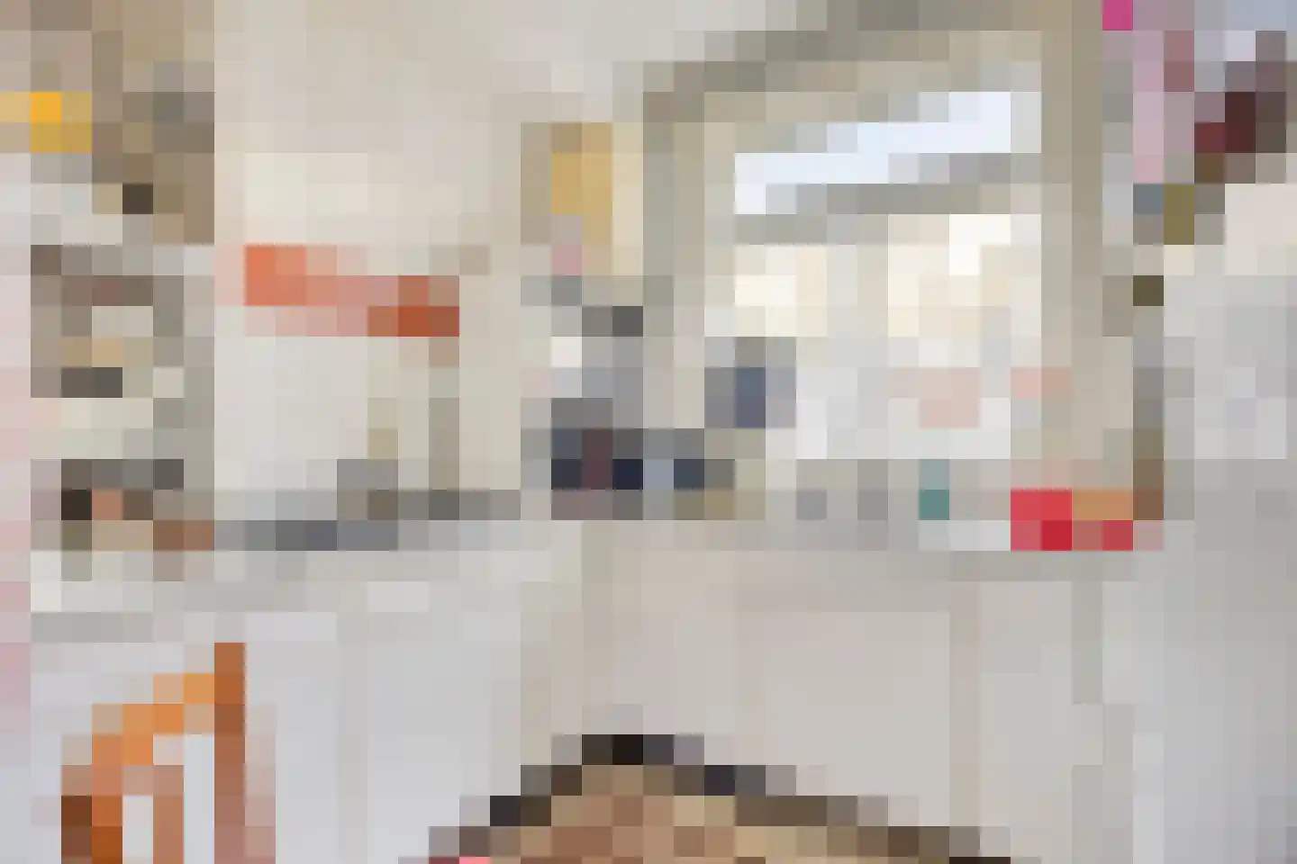 Dordtselaan 244 A Rotterdam thumbnail 13