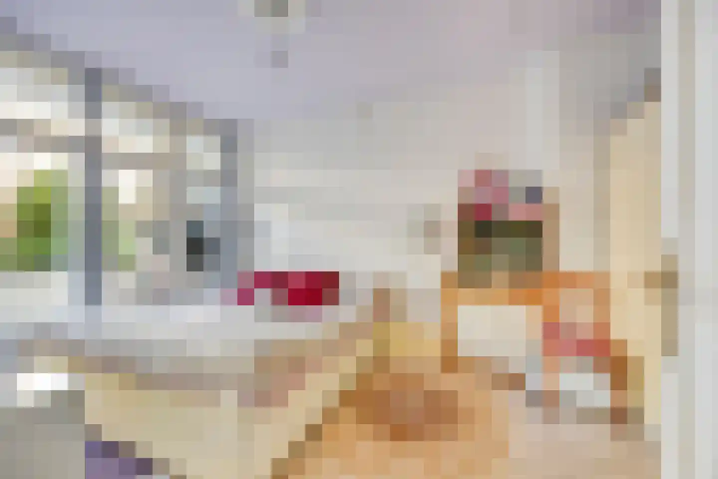 Dordtselaan 244 A Rotterdam thumbnail 14