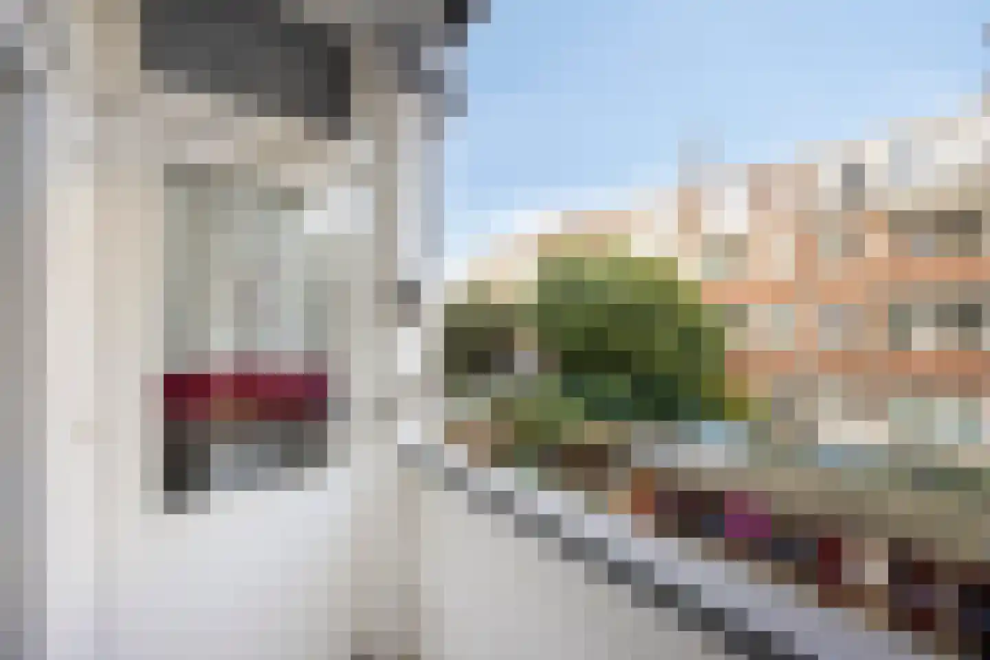 Dordtselaan 244 A Rotterdam thumbnail 16